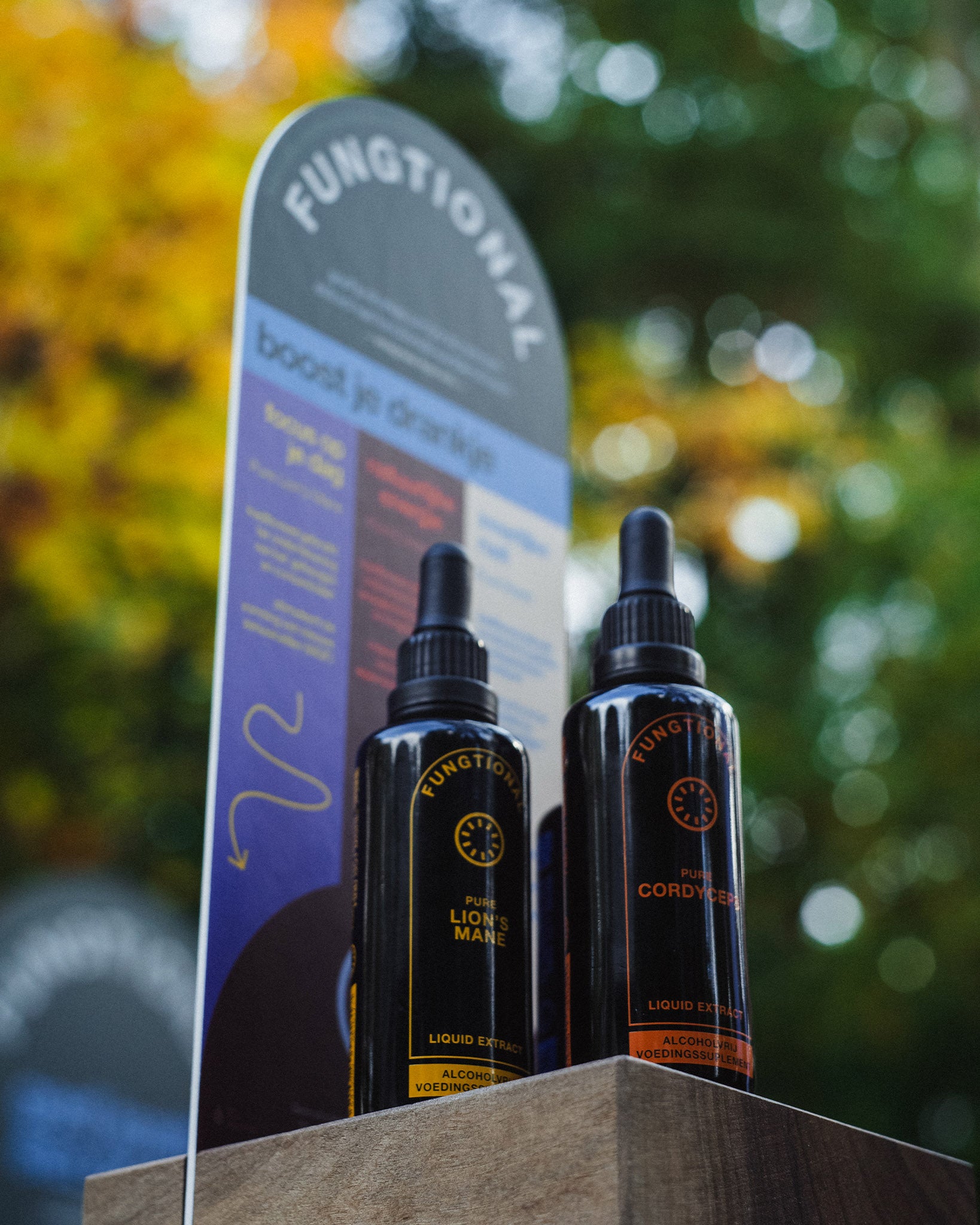 Image of Toogtoren display stand